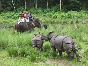 Chitwan Tour